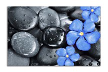 Obraz Flower Oleander and black pebbles zs24837